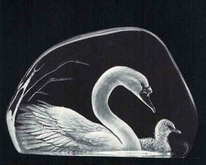 Swan & Young