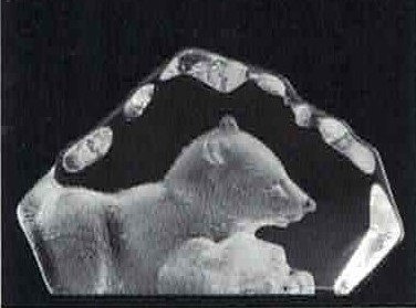 Polar Bear (2) - Mats Jonasson
