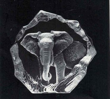 Elephant - Mats Jonasson