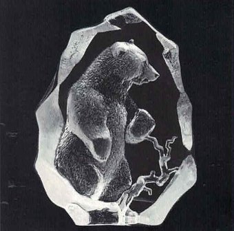 Grizzly Bear (2)