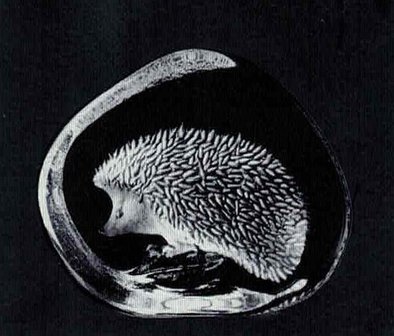 Hedgehog - Mats Jonasson