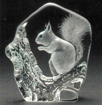 Squirrel - Mats Jonasson