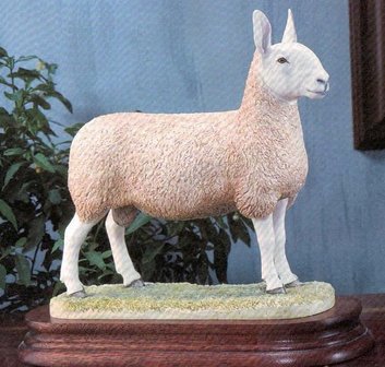 Border Leicester Tup - Limited Edition