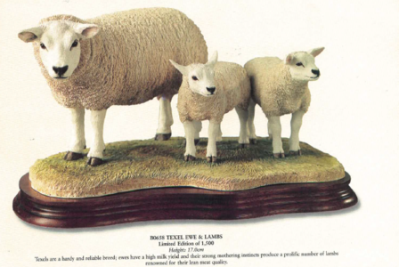 Texel Ewe & Lambs - Limited Edition 660 / 1500