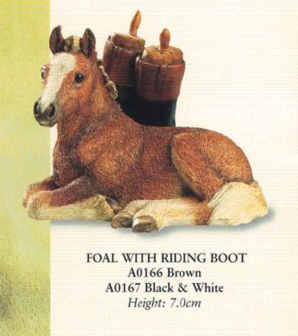 Brown Foal & Riding Boots