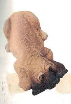 Bloodhound Drooper