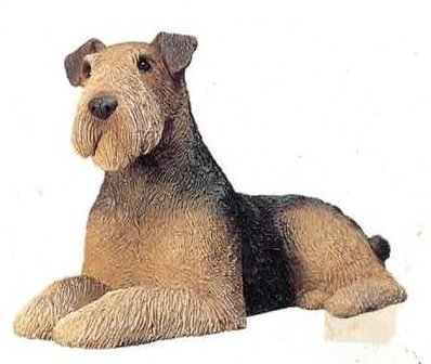 Airedale Terrier