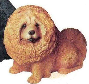 Chow chow red