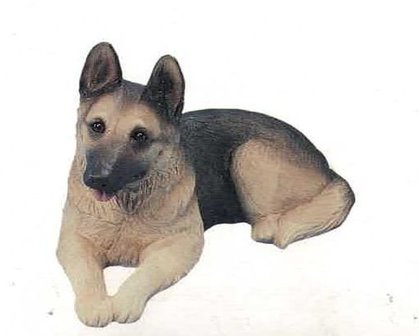 German Shepherd Dog I