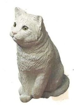 Cat white