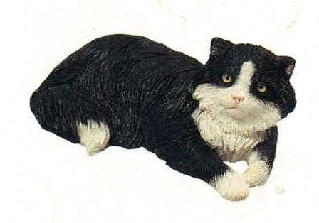 Cat black white Laying