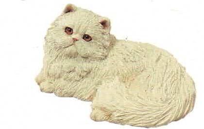 Persian cat white (laying)