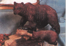 Grizzly Bear With Salmon