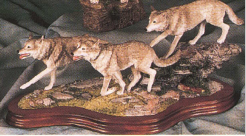 Running Wolves Wildtrack