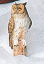Long Eared Owl Wildtrack