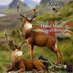 Border-Fine-Arts